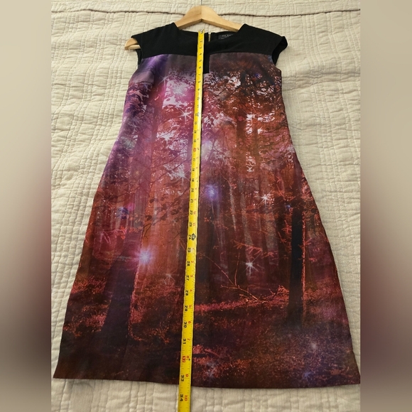 Ted Baker London Black and Pink Woods Nature Print Dress - Picture 8 of 9